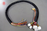 Load image into Gallery viewer, HKS F-con Harness for modification
