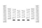 Load image into Gallery viewer, Eibach 15-16 Can-Am Maverick Pro-UTV - Stage 3 Performance Spring System (Set Of 8 Springs)
