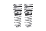 Load image into Gallery viewer, Eibach 14-21 Ram 2500 Diesel 4WD Pro-Truck Rear Springs
