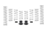 Load image into Gallery viewer, Eibach Pro-UTV 14-16 Polaris RZR XP 4 1000 EPS Stage 2 Performance Springs
