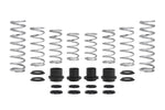 Load image into Gallery viewer, Eibach Pro-UTV 18-19 Polaris RZR XP Turbo S 2-Seat Stage 2 Performance Spring System
