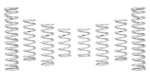 Load image into Gallery viewer, Eibach PRO-UTV - Stage 2 Performance Spring System (Set of 8 Springs) 20-21 CAN-AM Maverick X
