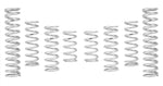Load image into Gallery viewer, Eibach Pro-UTV 17-18 Can-Am X3 Mx X RS Turbo R Base Stage 3 Performance Springs
