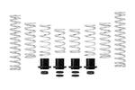 Load image into Gallery viewer, Eibach Pro-UTV 2020 Polaris RZR Pro XP Ultimate Stage 2 Performance Springs - Set of 8
