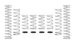 Load image into Gallery viewer, Eibach 15-16 Can-Am Maverick Pro-UTV - Stage 2 Performance Spring System (Set Of 8 Springs)

